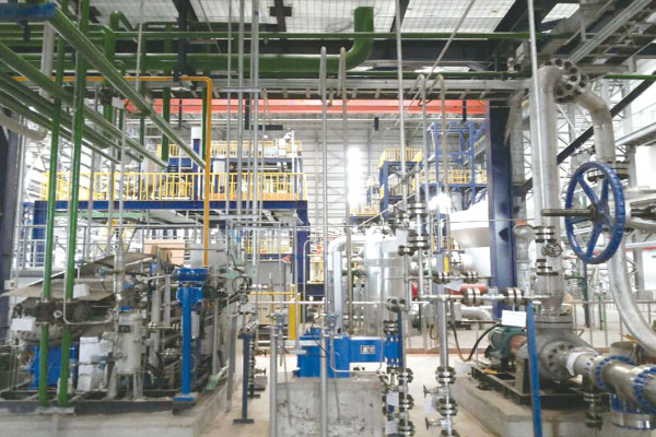 2025奥门原料免费资料